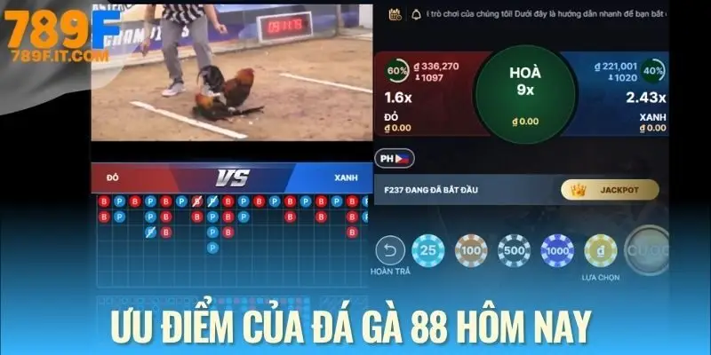 Đánh giá sảnh đá gà 88 từ nhà cái uy tín 789F
